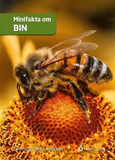 Minifakta om bin (e-bok)
