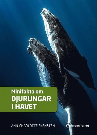 Minifakta om djurungar i havet (pocket)