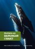 Minifakta om djurungar i havet