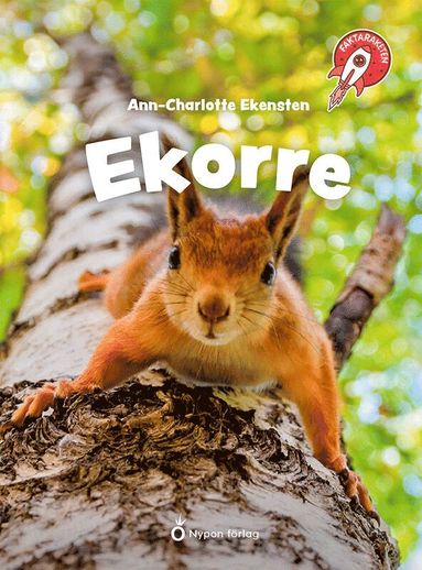 Ekorre (kartonnage)