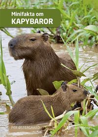 Omslag: Minifakta om kapybaror