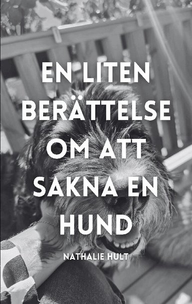 En liten ber�ttelse om att sakna en hund (inbunden)