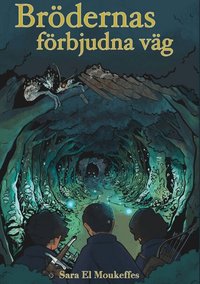 Omslag: Brödernas förbjudna väg