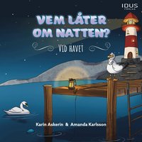 Omslag: Vem låter om natten? - vid havet