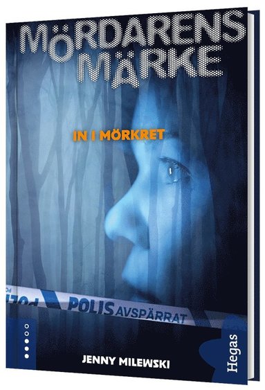 In i mrkret (inbunden)