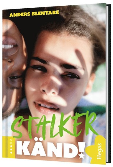 Stalker (hftad)