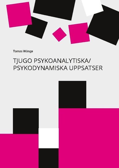 Tjugo psykoanalytiska / psykodynamiska uppsatser : en 40-rig personlig yrkesresa frn Freud till relationell psykoanalys / psykoterapi (hftad)