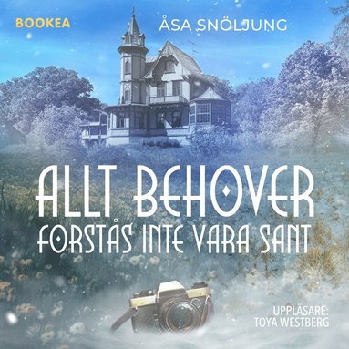 Allt behver frsts inte vara sant (e-bok)
