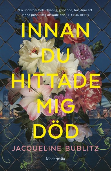 Innan du hittade mig dd (inbunden)