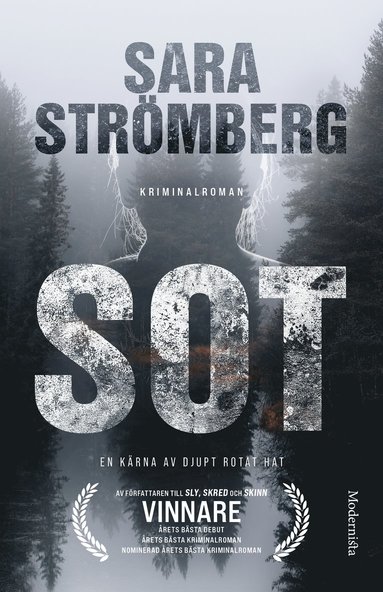 Sot (inbunden)