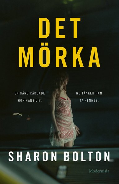 Det m�rka (pocket)