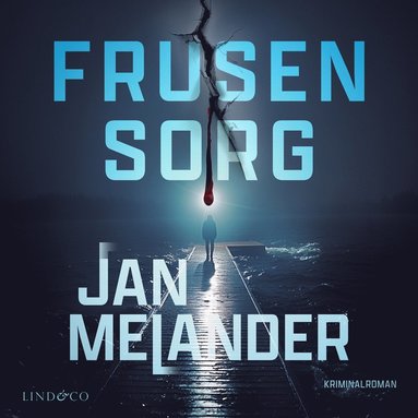 Frusen sorg (ljudbok)