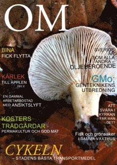 OM omstllning Nr 1 2013 (e-bok)