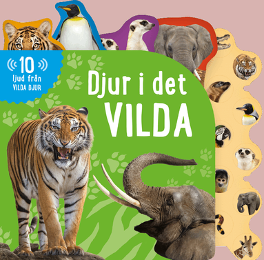 Djur i det vilda (inbunden)