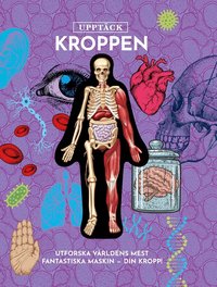 Omslag: Upptäck kroppen : Utforska världens mest fantastiska maskin - din kropp!