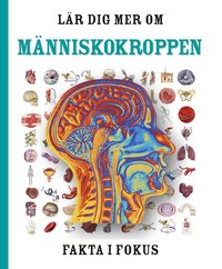 Omslag: Lär dig mer om människokroppen