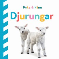 Omslag: Peka och känn. Djurungar