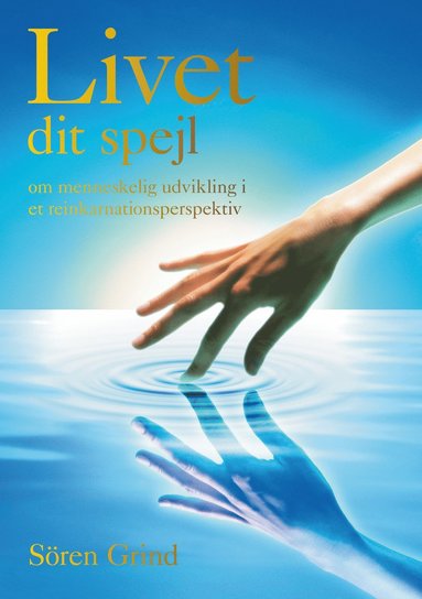 Livet dit spejl : om menneskelig udvikling i et reinkarnationsperspektiv (h�ftad)