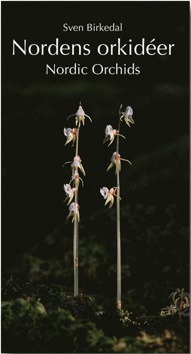 Nordens orkider : en fltguide / Nordic Orchids : a field guide (inbunden)