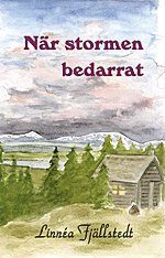 När stormen bedarrat (pocket)