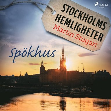 Stockholms hemligheter - Spkhus (ljudbok)