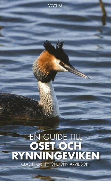 En guide till Oset och Rynningeviken (inbunden)