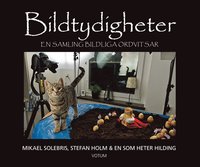 Bildtydigheter : en samling bildliga ordvitsar (inbunden)