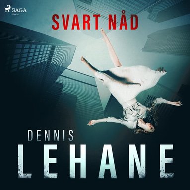 Svart nd (ljudbok)