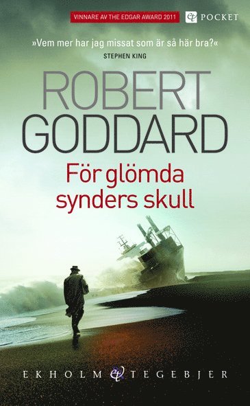 För glömda synders skull (inbunden)