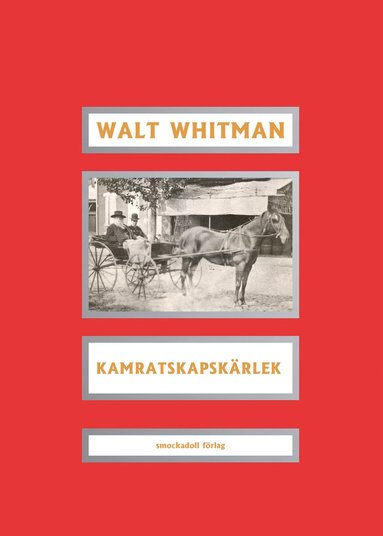 Kamratskapskrlek (pocket)