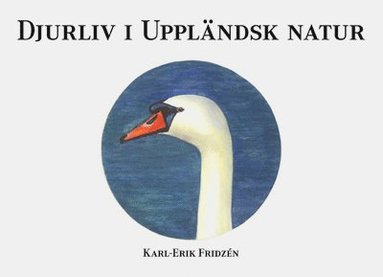 Djurliv i uppländsk natur : akvarellblad (inbunden)