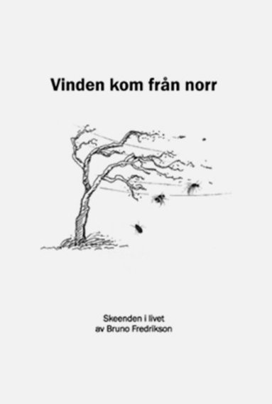 Vinden kom från norr (pocket)