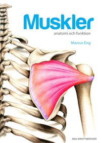 Muskler anatomi och funktion (häftad)