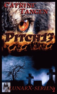 Pitch13 (e-bok)