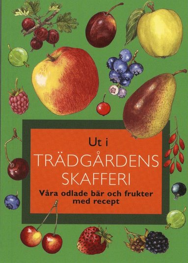 Ut i trdgrdens skafferi : vra odlade br och frukter med recep (inbunden)