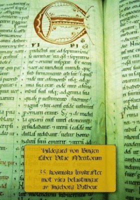 Hildegard von Bingen: Liber vitae meritorum : 35 kosmiska livskrafter mot vra belastningar (hftad)