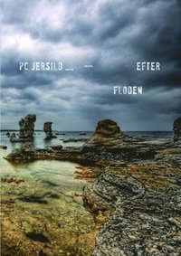 Efter floden som bok, ljudbok eller e-bok.