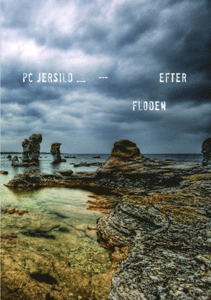 Efter floden (pocket)