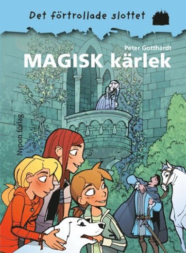 Magisk kärlek (kartonnage)