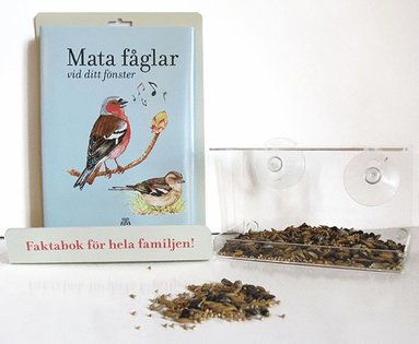 Mata fåglar vid ditt fönster (inbunden)