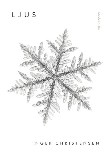 Ljus (häftad)