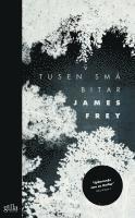 Tusen små bitar (pocket)