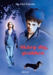 Skärp dig, grabben (häftad)