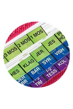 U-TAB, Bibel-Index grön-blå-violett, GT NT och Apokryferna (kartonnage)