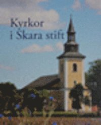 Kyrkor i Skara stift (inbunden)