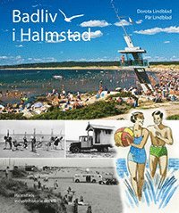 Badliv i Halmstad (inbunden)