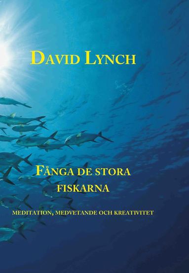 F�nga de stora fiskarna : meditation, medvetande och kreativitet (inbunden)