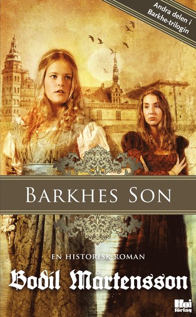 Barkhes son : en historisk spnningsroman (hftad)