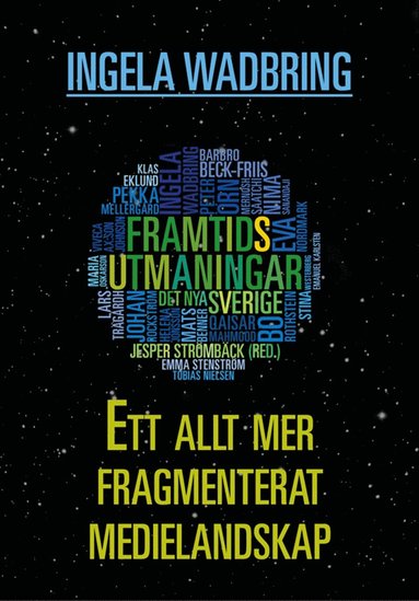 Ett allt mer fragmenterat medielandskap (inbunden)