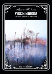 Videbuskarna och andra vidunderliga berttelser (hftad)